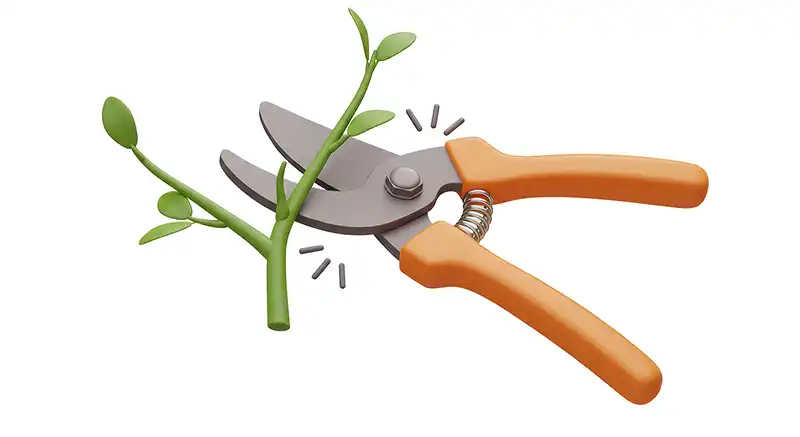 Schnittlehrgang Schnittlehrgang